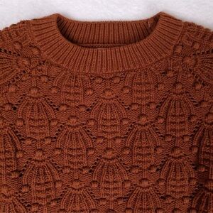 Anthropologie Rust Crew Neck Sweater